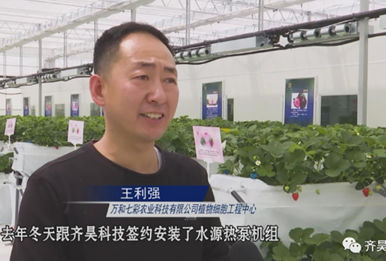 萬和七彩農（nóng）業科技有限公司植物細胞工程中心（xīn）王利強