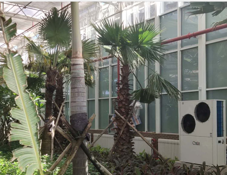 柚子直播平台科技雙源熱泵實拍圖
